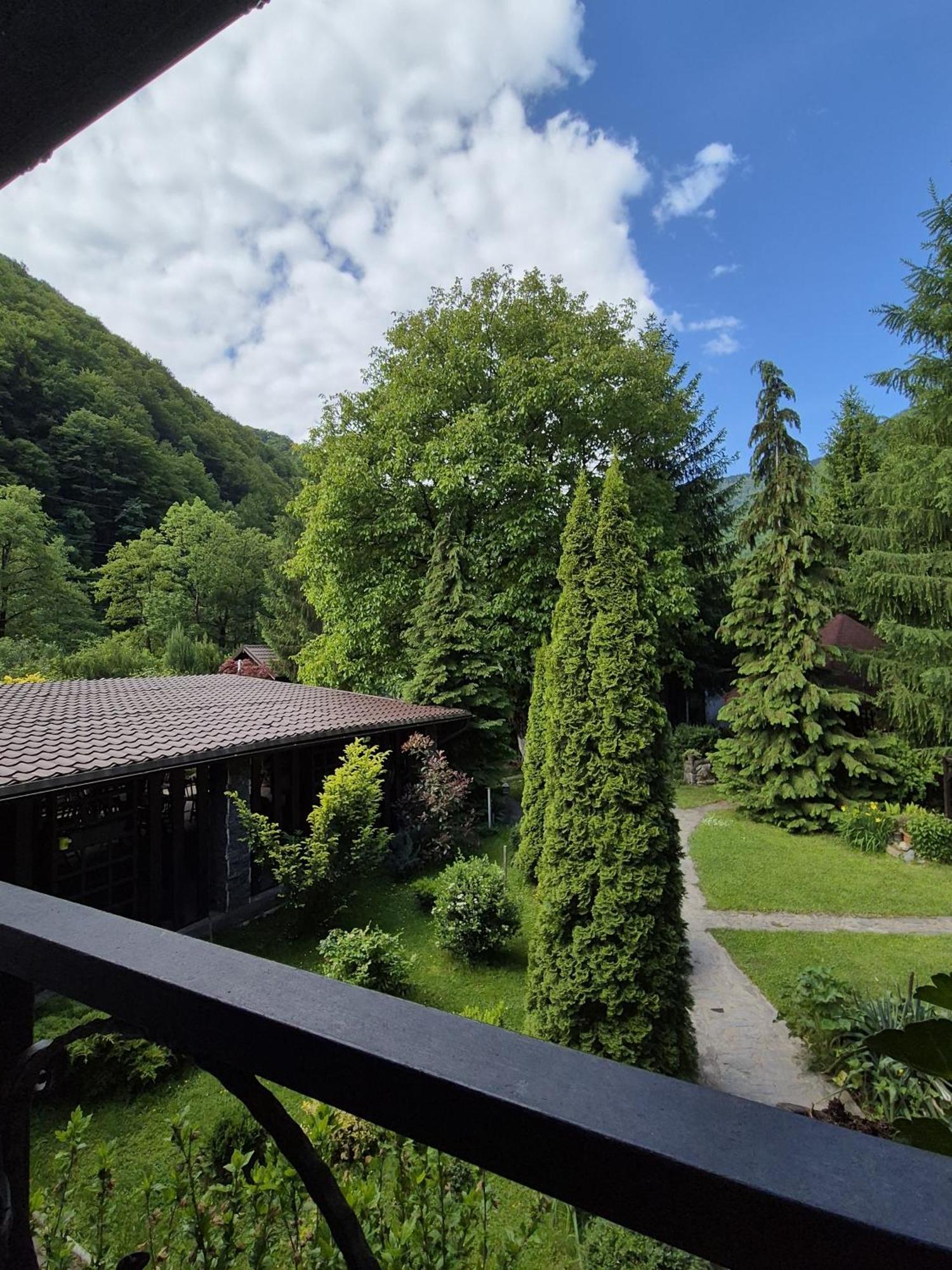Hotel Pensiunea Dumbravita Rîu de Mori Exterior foto